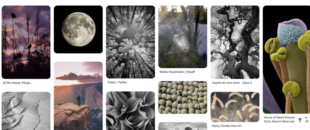 Pinterest photography board