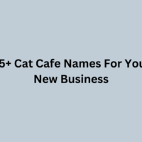 65+ Cat Cafe Names For Your New Business