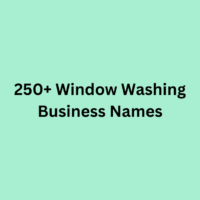 250+ Window Washing Business Names