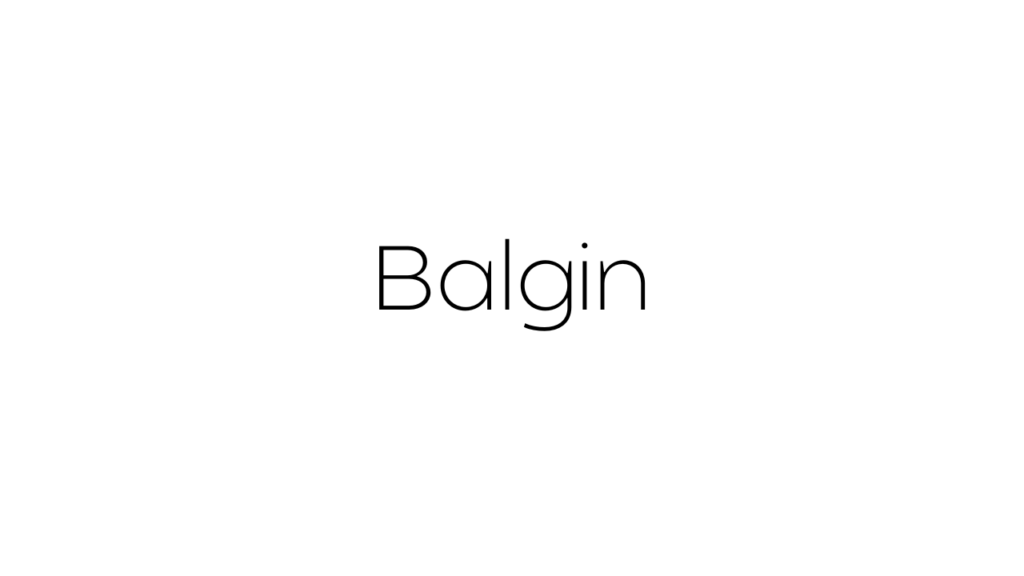 Balgin