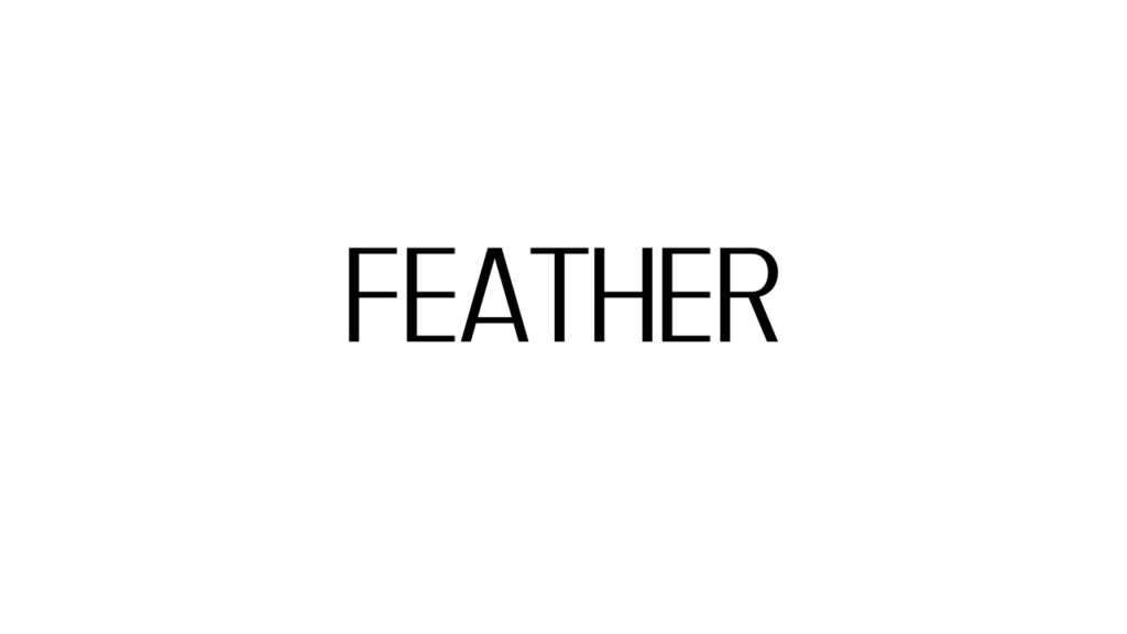 Feather